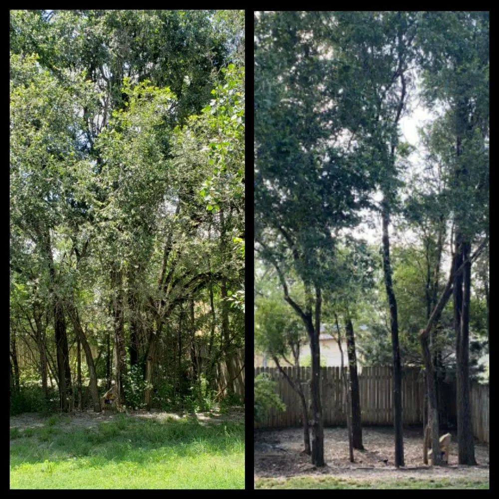 Professional landscaping services experts serving Wichita, KS - Zelaya Landscaping