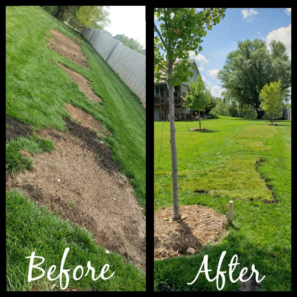 Top-rated lawn care service for homes across Wichita, KS - Zelaya Landscaping
