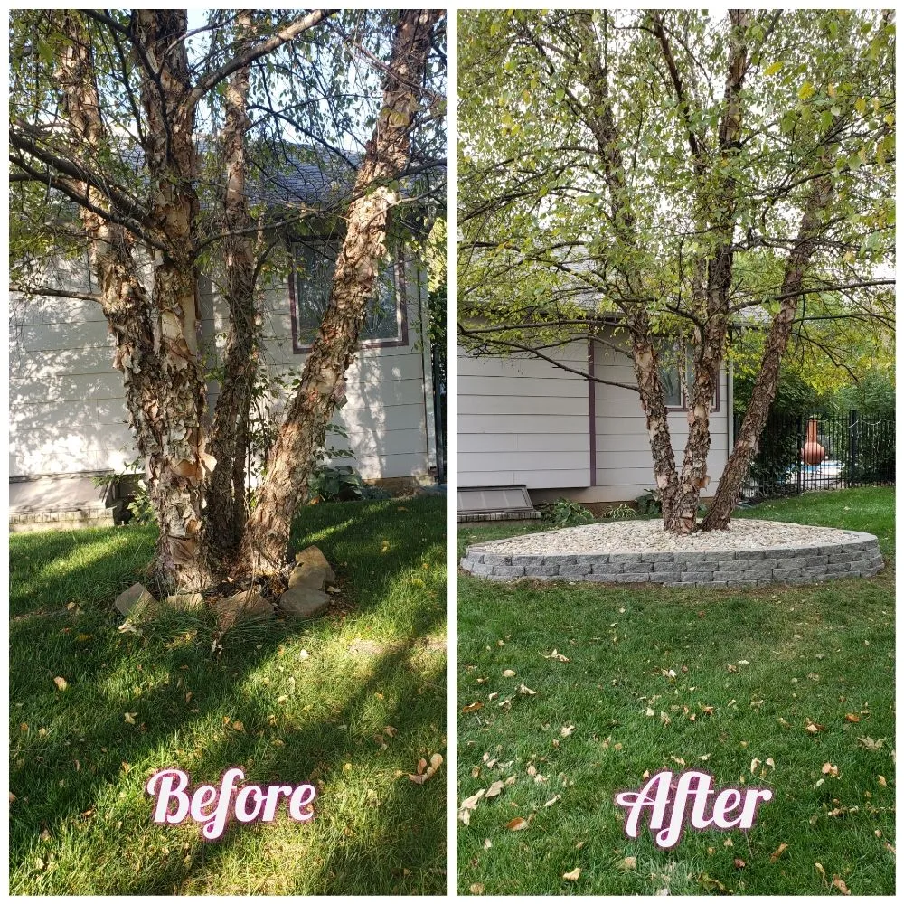Trusted yard maintenance experts serving Wichita, KS - Zelaya Landscaping