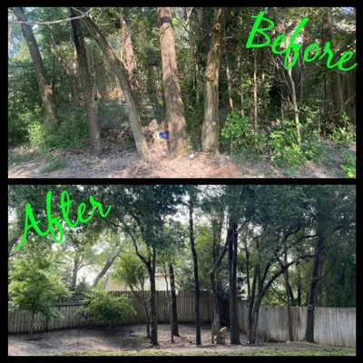 Zelaya Landscaping Logo