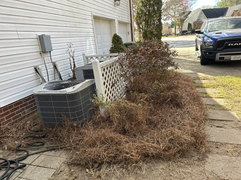 Trusted landscaping services in Columbia, SC by Zelaya Lawn Services