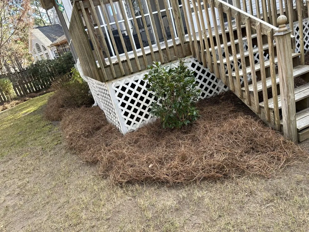 Expert landscape design experts serving Columbia, SC - Zelaya Lawn Services