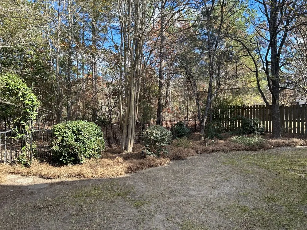 Expert outdoor landscaping experts serving Columbia, SC - Zelaya Lawn Services