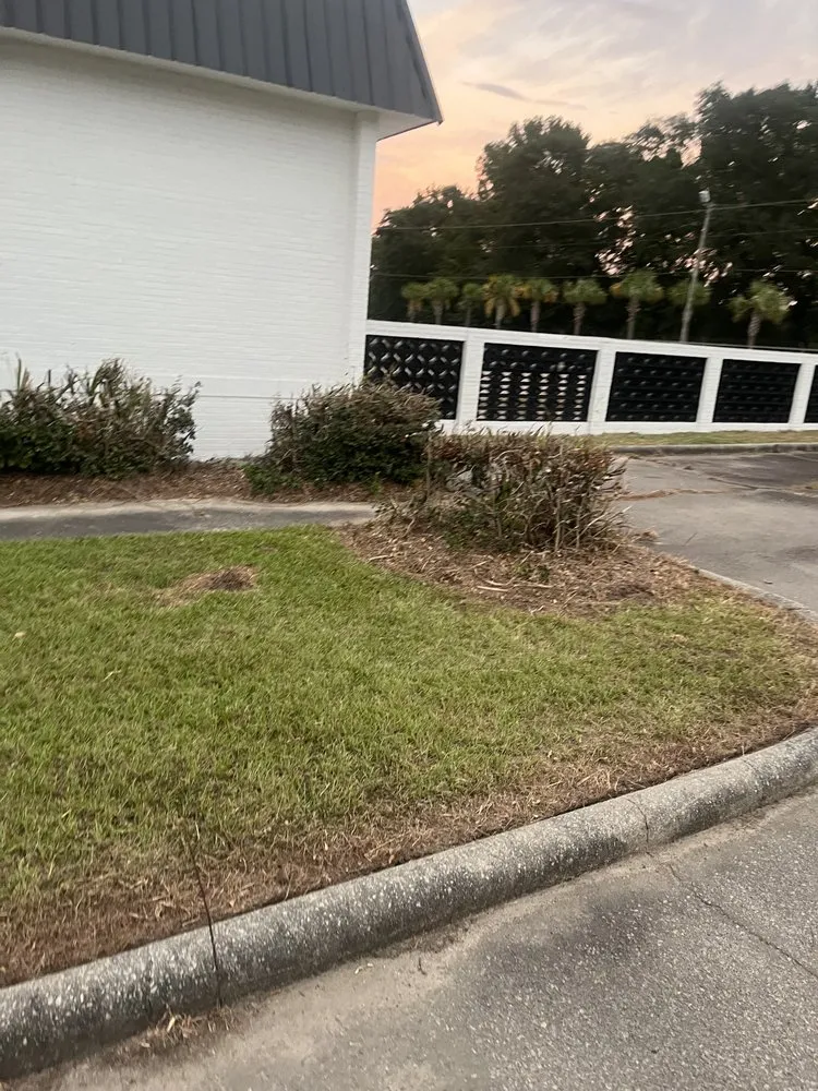 Expert outdoor landscaping for beautiful yards across Columbia, SC - Zelaya Lawn Services