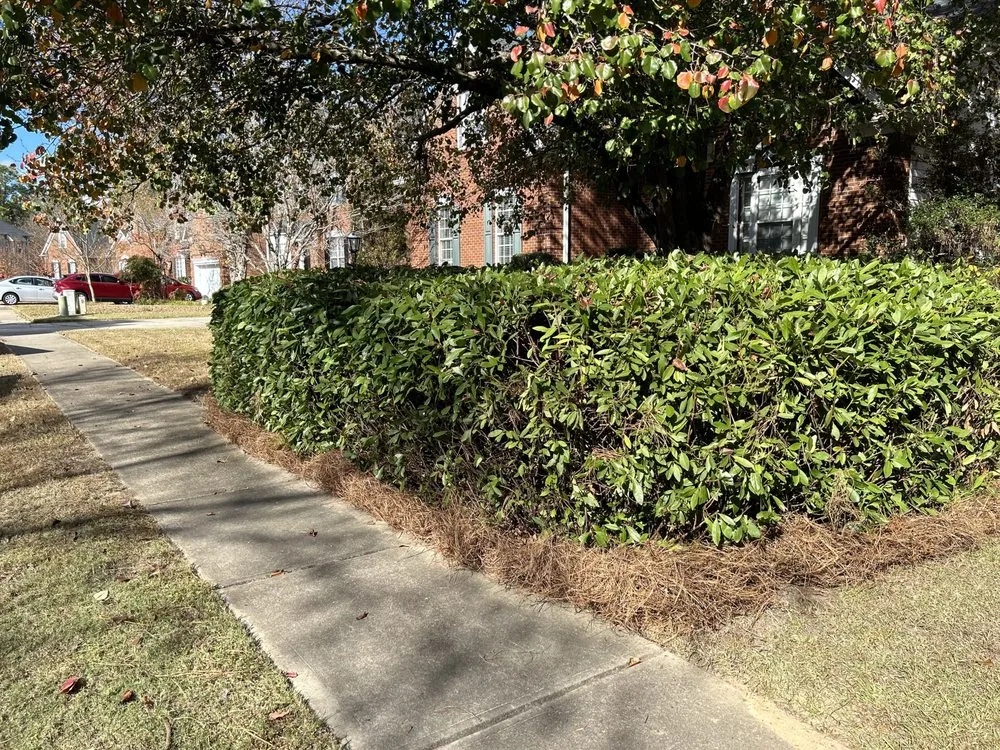 Expert landscape design in Columbia, SC - Zelaya Lawn Services