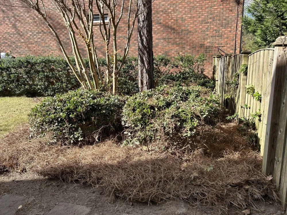 Local yard maintenance with custom design across Columbia, SC - Zelaya Lawn Services