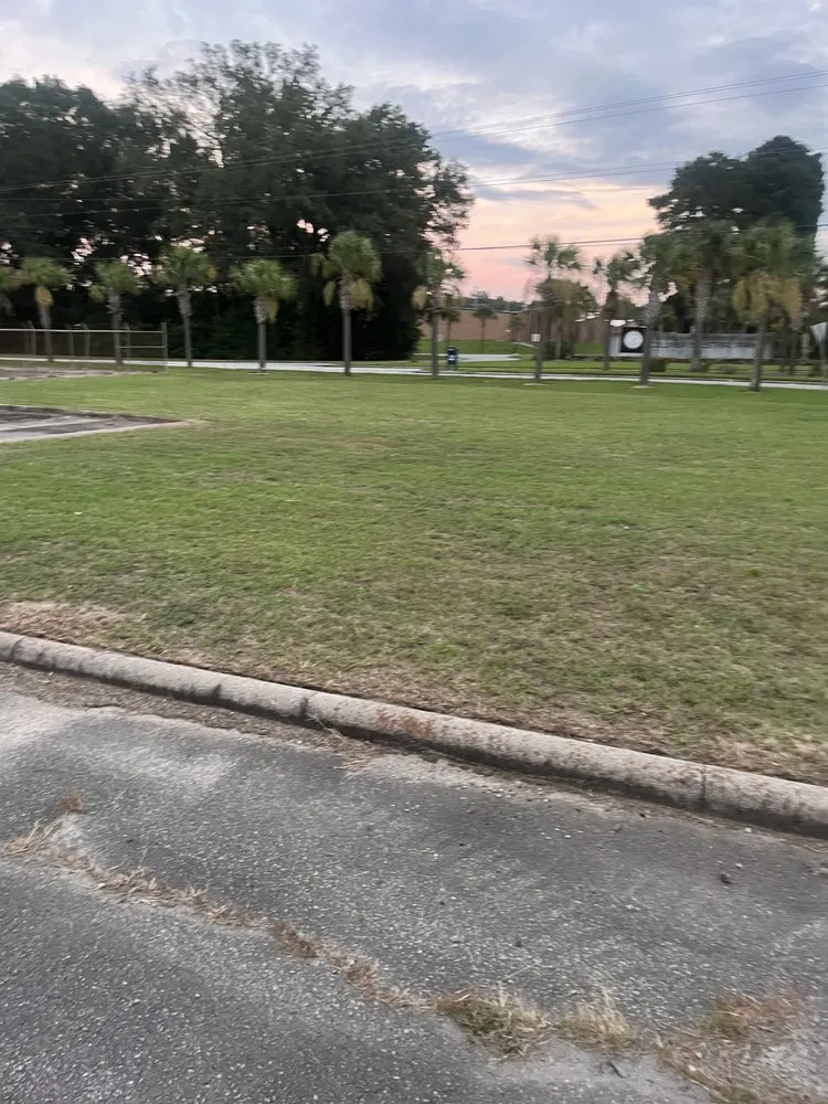 Top-rated landscaping services experts serving Columbia, SC - Zelaya Lawn Services