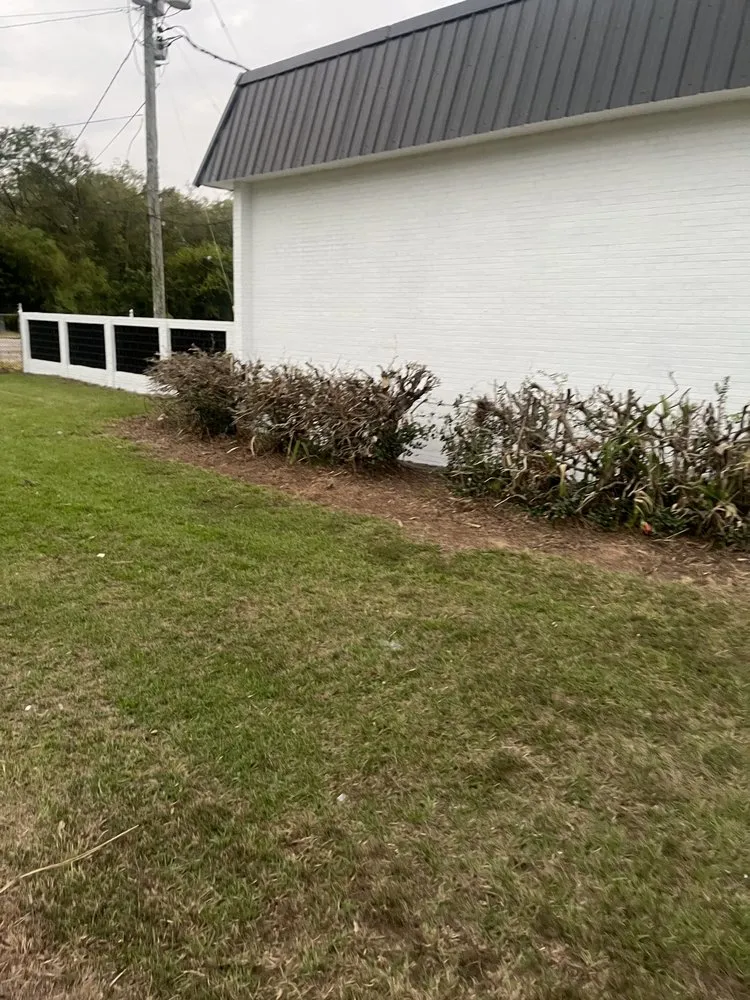 Top-rated landscape installation with custom design in Columbia, SC by Zelaya Lawn Services