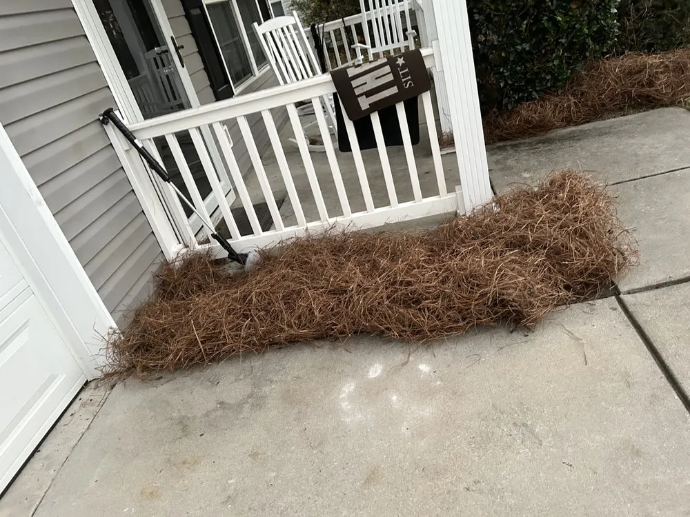 Trusted garden landscaping for homes across Columbia, SC - Zelaya Lawn Services