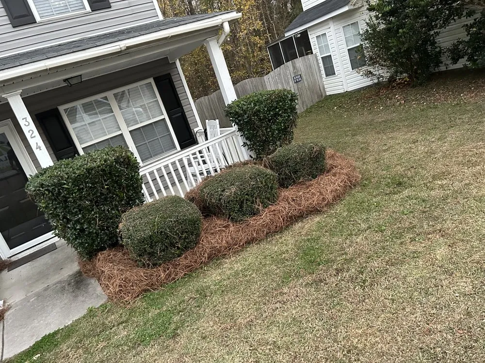 Local lawn care service near you across Columbia, SC - Zelaya Lawn Services