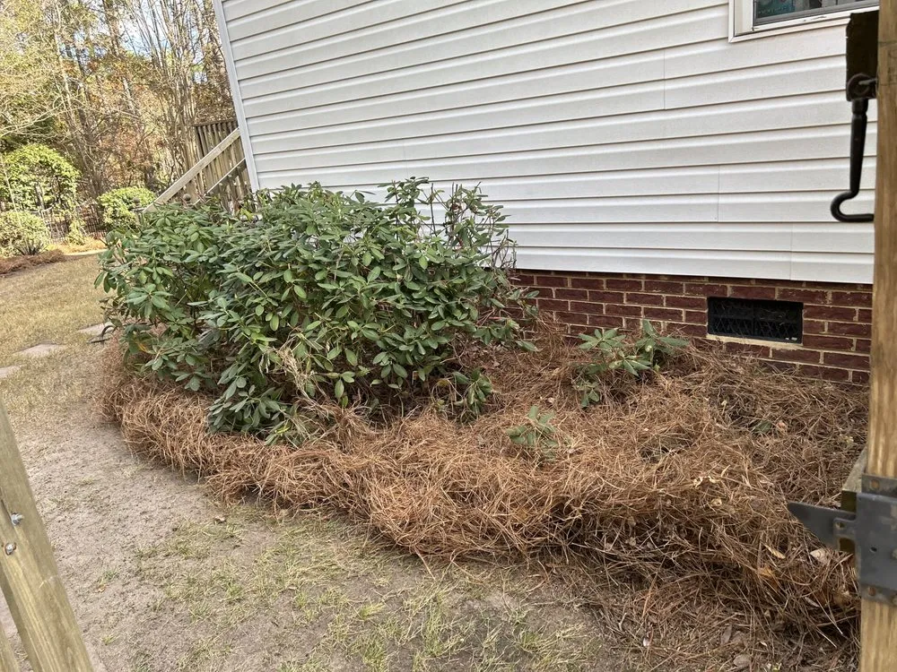 Custom lawn mowing service for outdoor upgrades in Columbia, SC by Zelaya Lawn Services