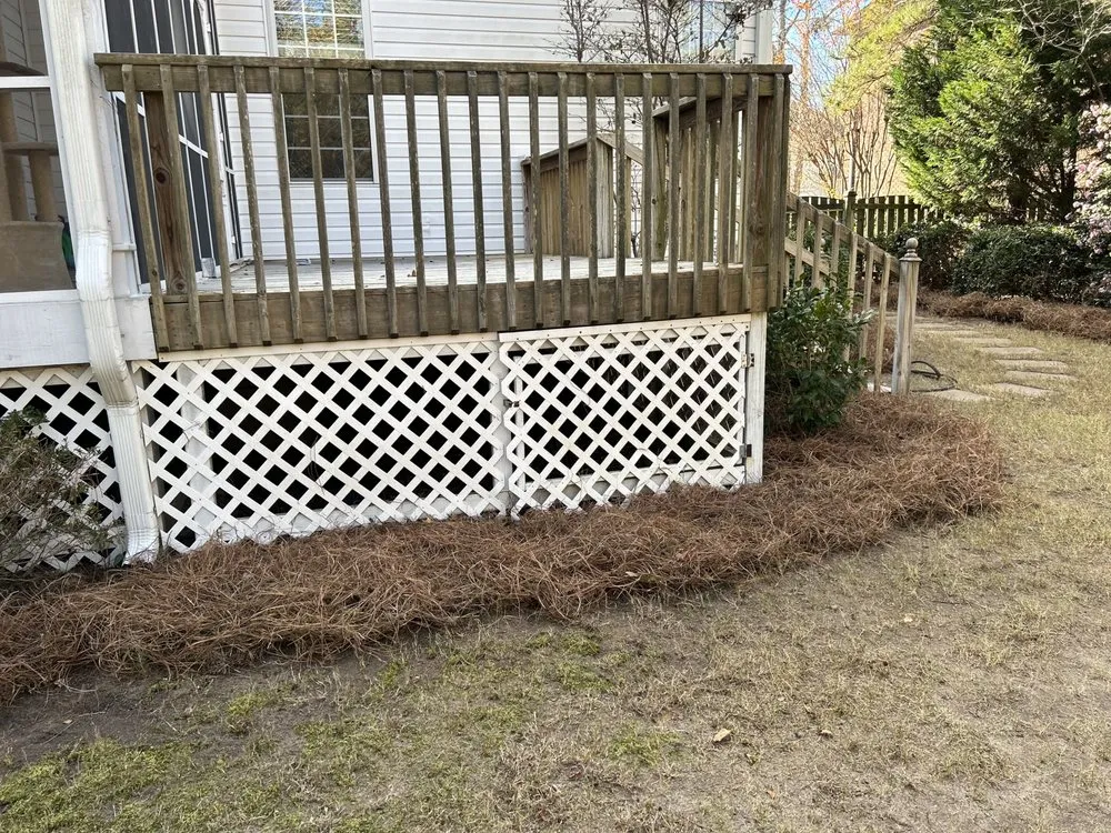 Custom yard cleanup service for homes in Columbia, SC by Zelaya Lawn Services