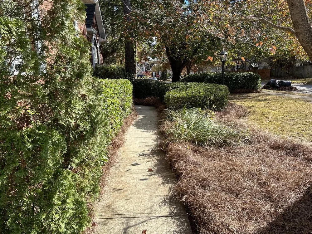 Top-rated landscaping services in Columbia, SC by Zelaya Lawn Services