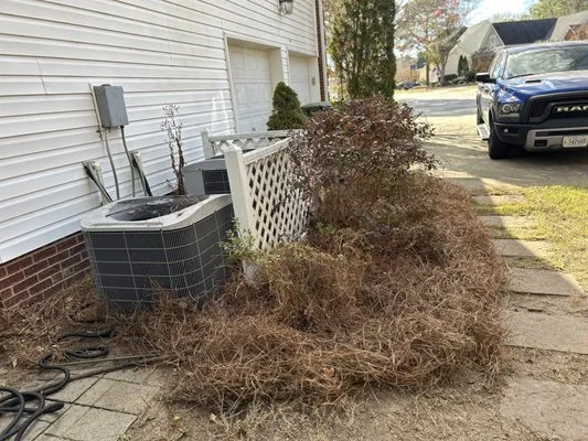 Zelaya Lawn Services Logo