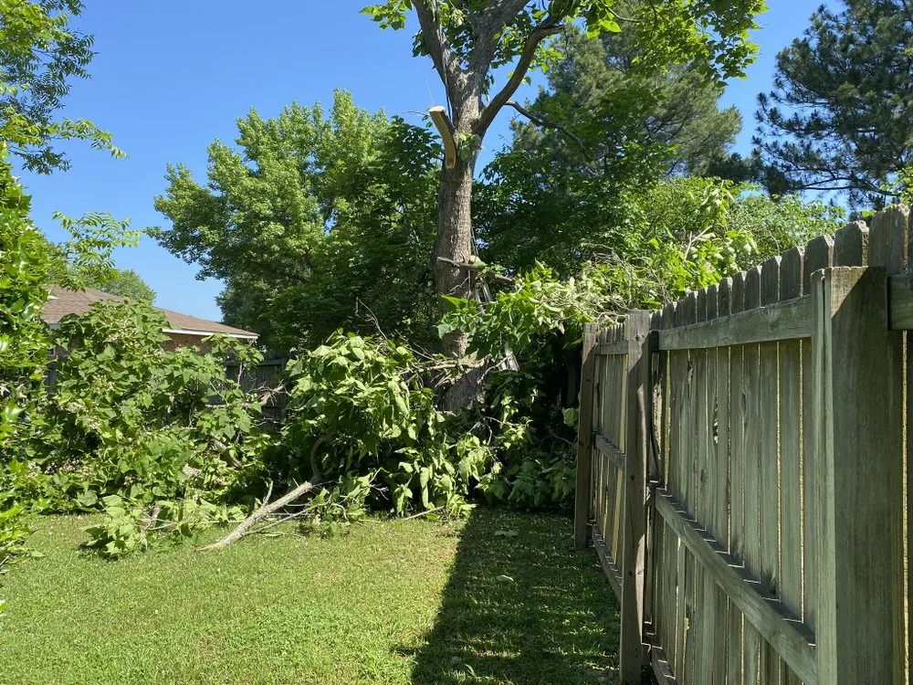 Top-rated outdoor landscaping experts serving Van Buren, AR - Zelaya