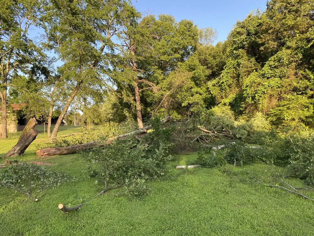 Local lawn mowing service with custom design across Van Buren, AR - Zelaya