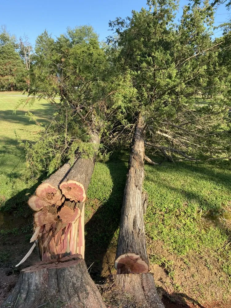 Custom landscape design in Van Buren, AR - Zelaya