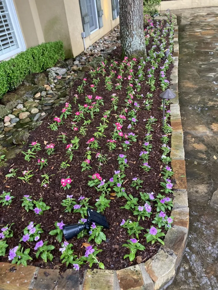 Local yard maintenance for year-round maintenance across Van Buren, AR - Zelaya