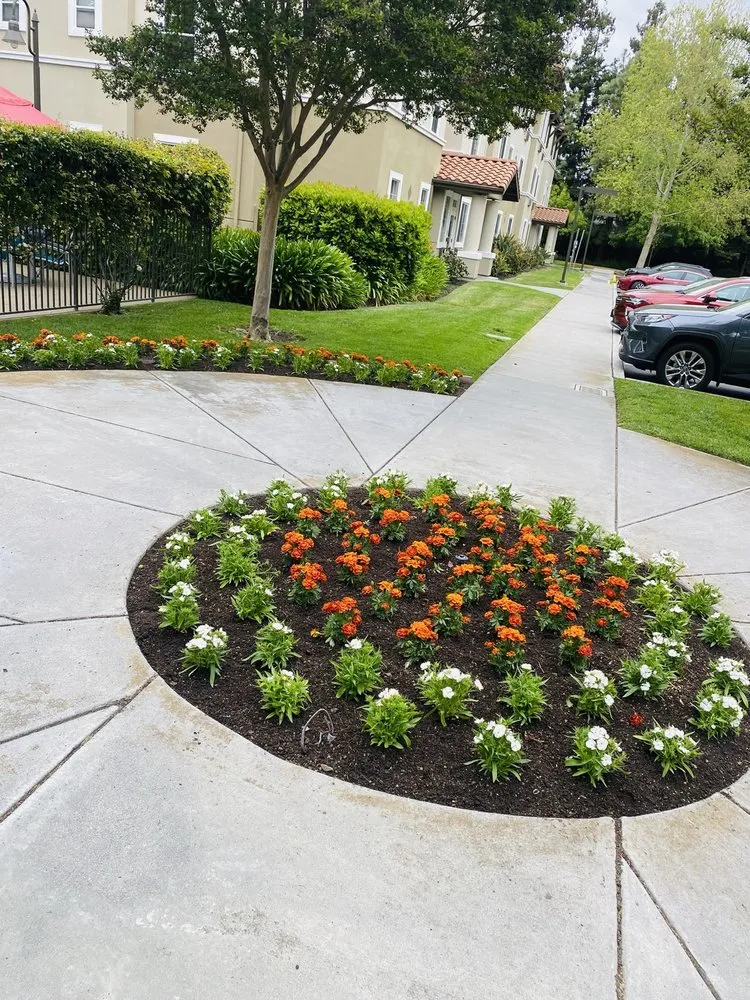 Professional landscape design for residential properties in Salinas, CA by Zelaya’s Landscaping