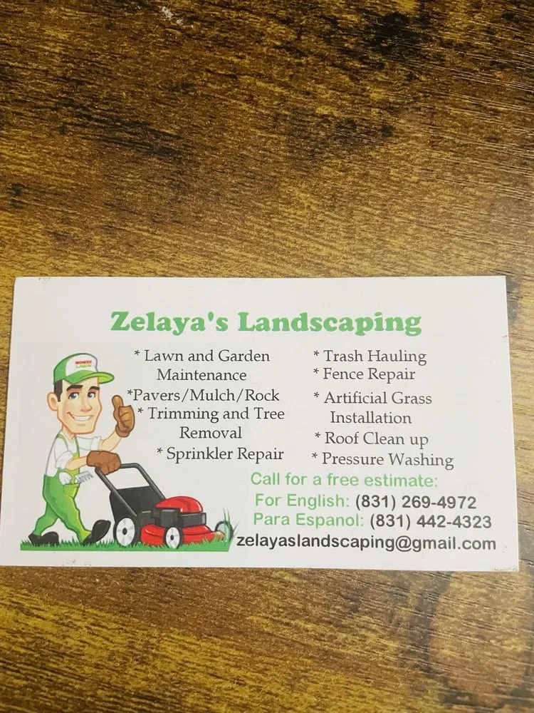 Reliable landscape design for year-round maintenance across Salinas, CA - Zelaya’s Landscaping