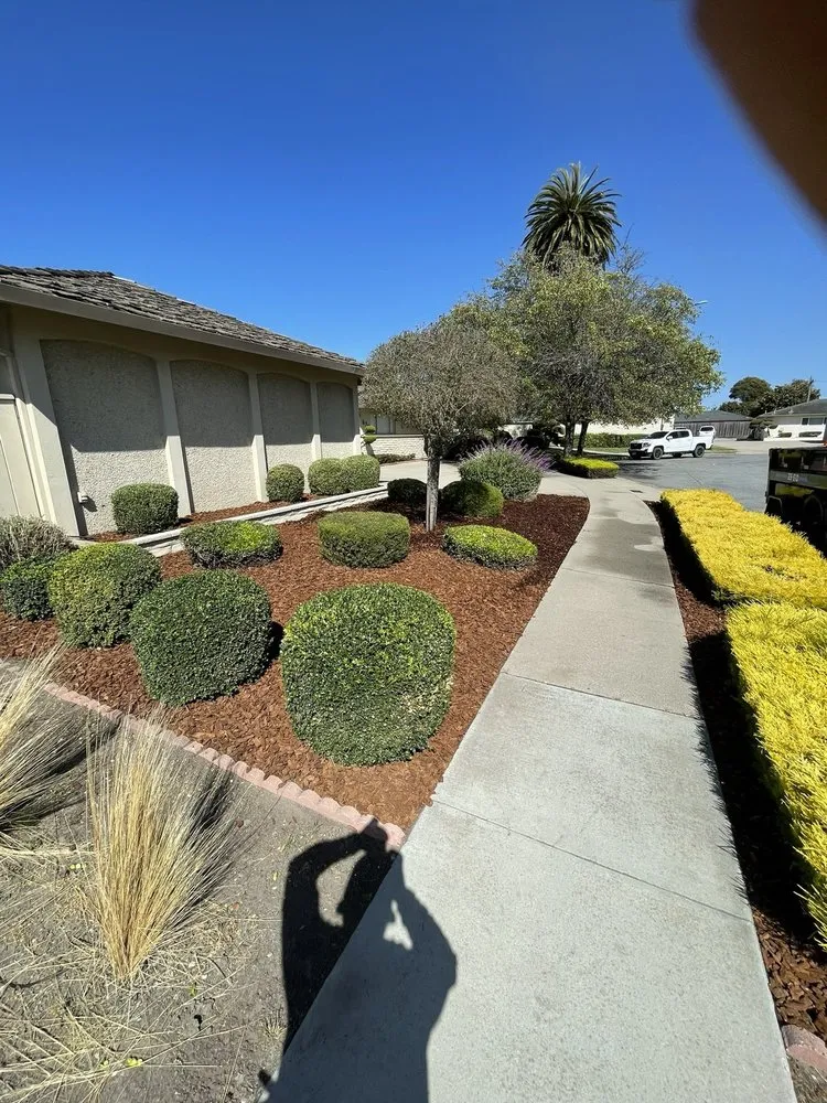 Expert yard maintenance in Salinas, CA by Zelaya’s Landscaping