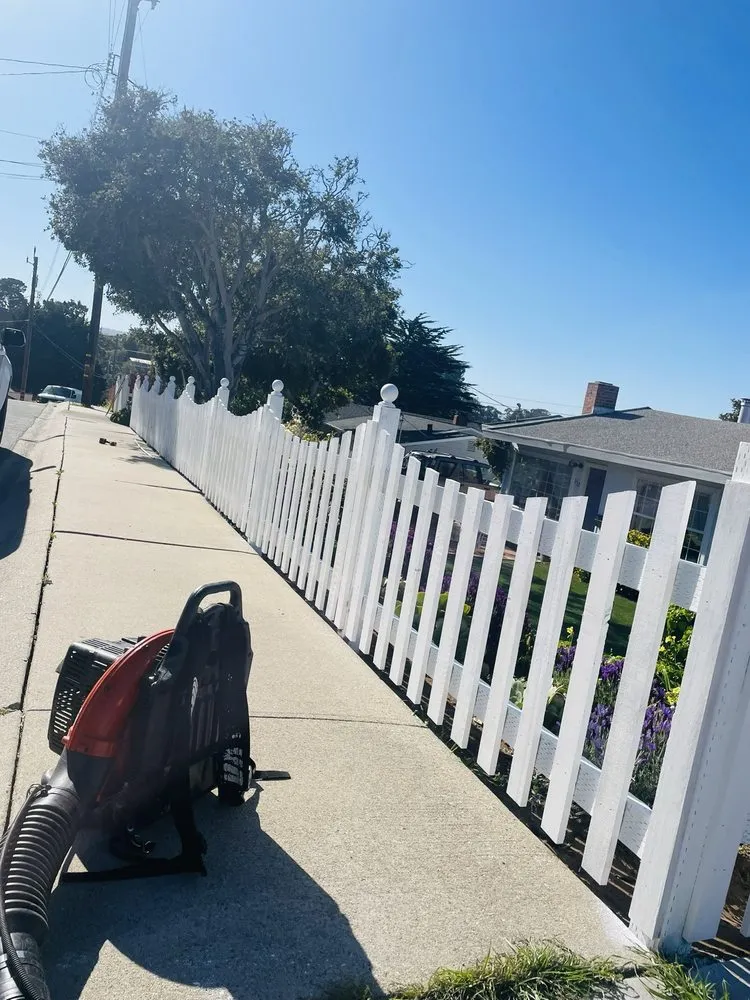 Affordable landscaping services in Salinas, CA - Zelaya’s Landscaping