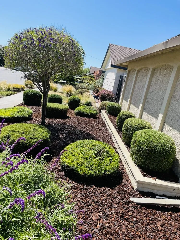 Top-rated landscaping services experts serving Salinas, CA - Zelaya’s Landscaping