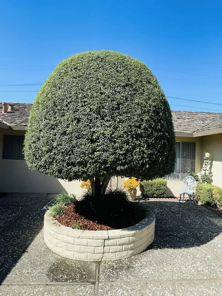 Top-rated outdoor landscaping experts serving Salinas, CA - Zelaya’s Landscaping