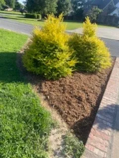 Expert lawn mowing service near you in Iota, LA by Zelayas Lawn Care