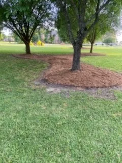 Trusted lawn care service in Iota, LA by Zelayas Lawn Care
