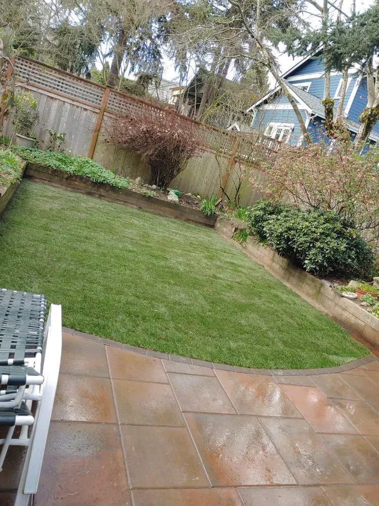 Custom landscaping services in Mountlake Terrace, WA - Zeledon Pavers Patio