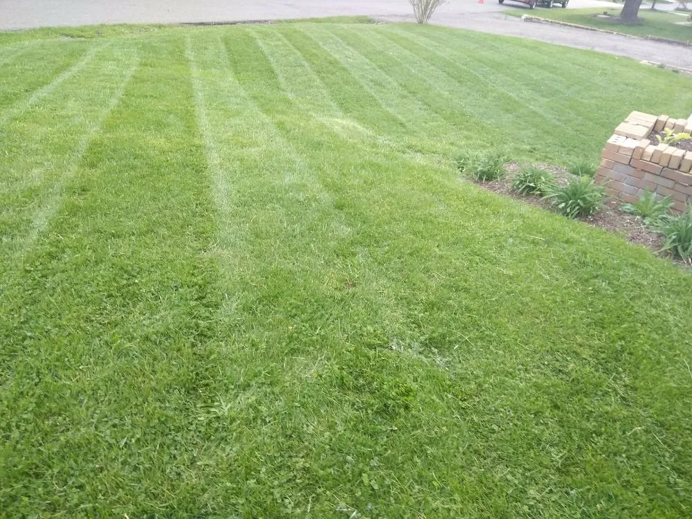 Reliable lawn care service experts serving Canton, OH - Zelk'S Landscaping & Snow Removal