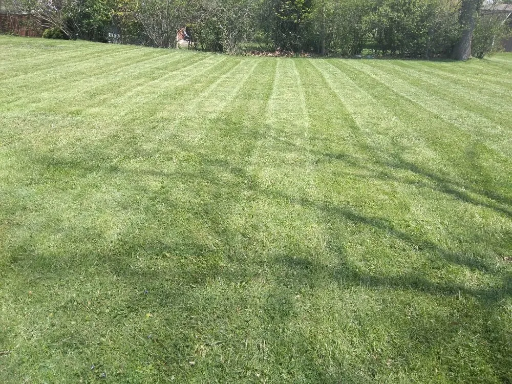 Professional landscape design experts serving Canton, OH - Zelk'S Landscaping & Snow Removal