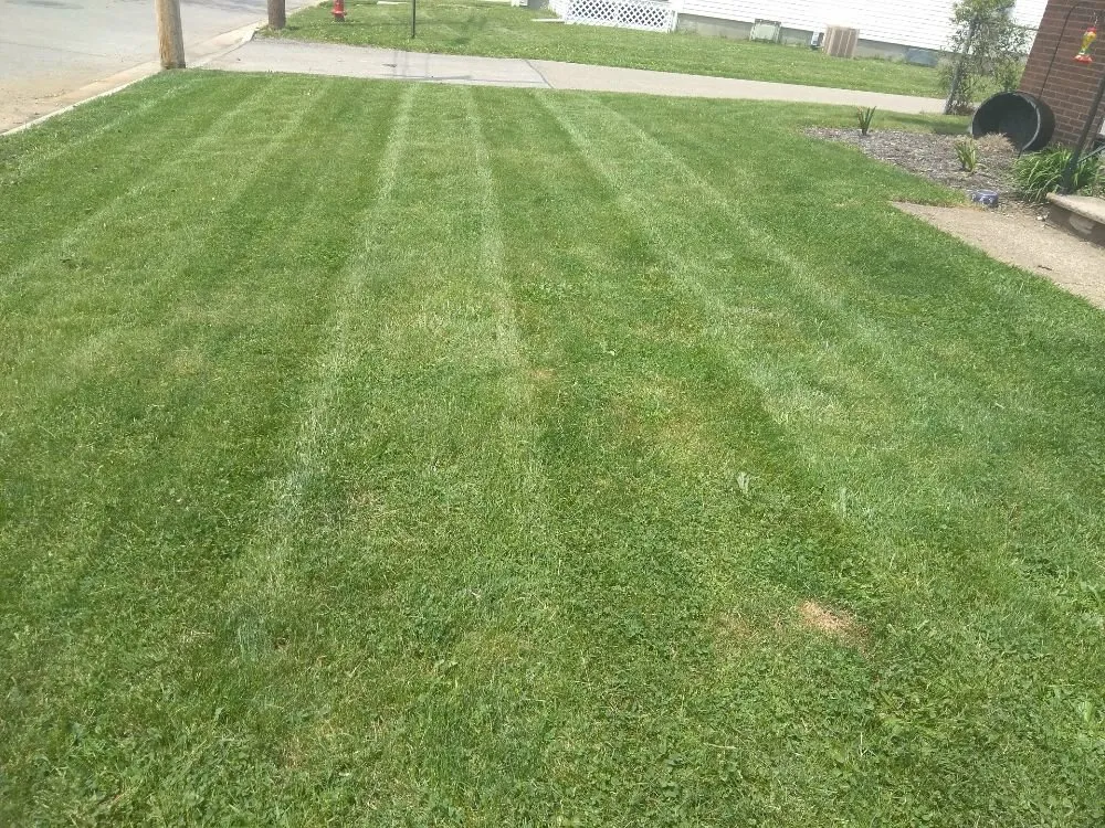 Expert yard cleanup service with custom design in Canton, OH by Zelk'S Landscaping & Snow Removal
