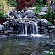 Reliable yard cleanup service in Golden, CO - Zen Builders