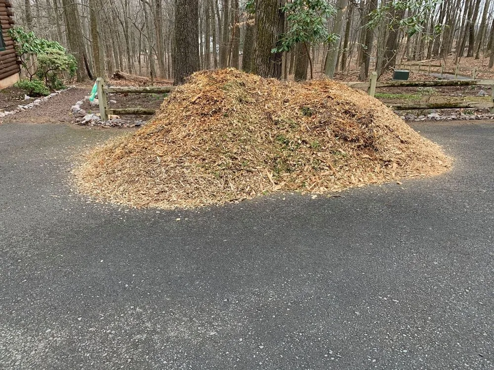 Affordable residential landscaping in North Wales, PA by Zen Contracting & Maintenance