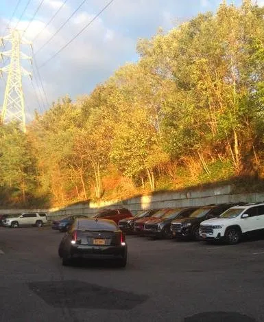 Professional landscape design experts serving Brooklyn, NY - Zen Gardens