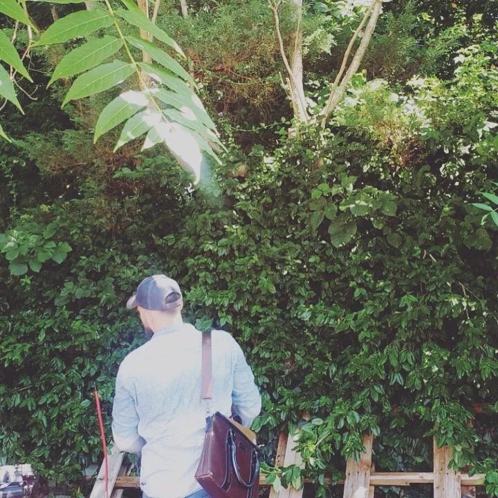 Affordable lawn care service in Brooklyn, NY by Zen Gardens