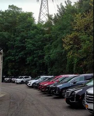 Expert yard cleanup service experts serving Brooklyn, NY - Zen Gardens