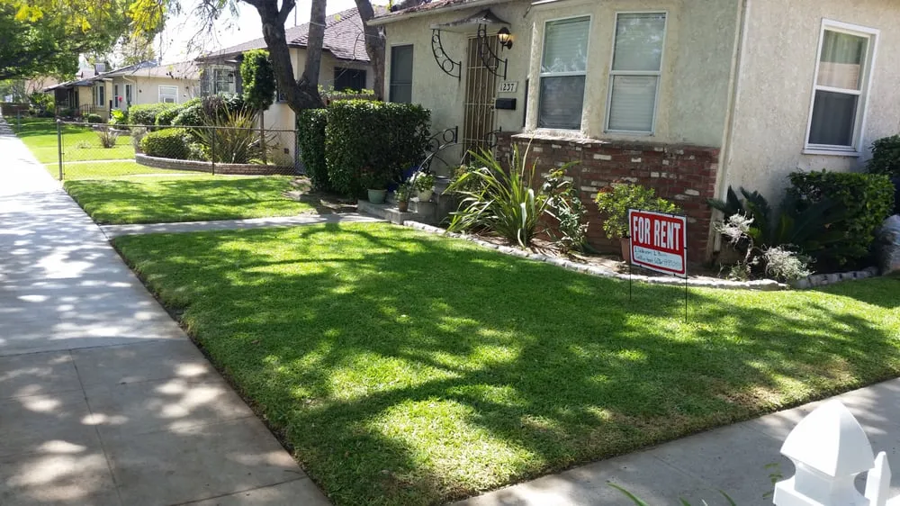 Professional yard maintenance experts serving La Habra, CA - Zen Lawn & Landscaping