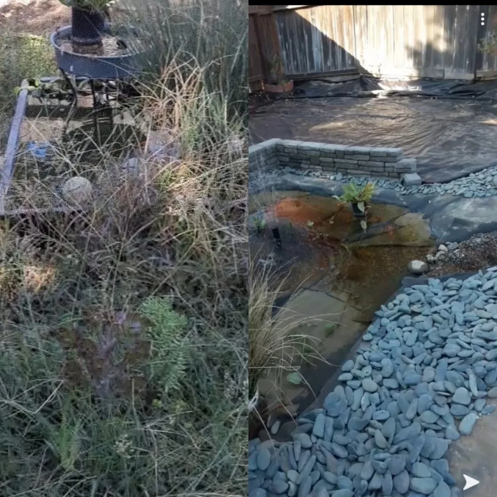 Expert yard cleanup service for residential properties across Atwater, CA - Zen Scape