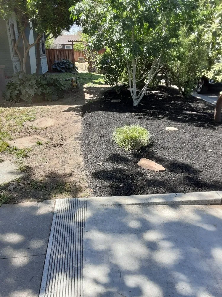 Trusted yard cleanup service experts serving Atwater, CA - Zen Scape