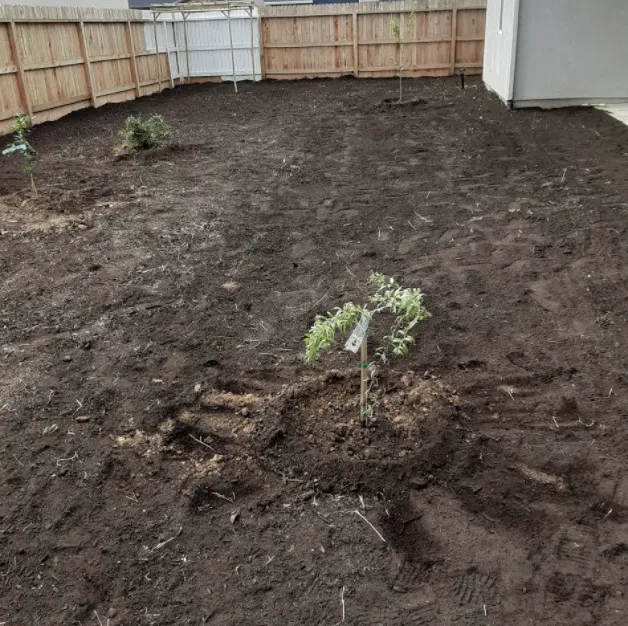 Trusted yard maintenance experts serving Atwater, CA - Zen Scape