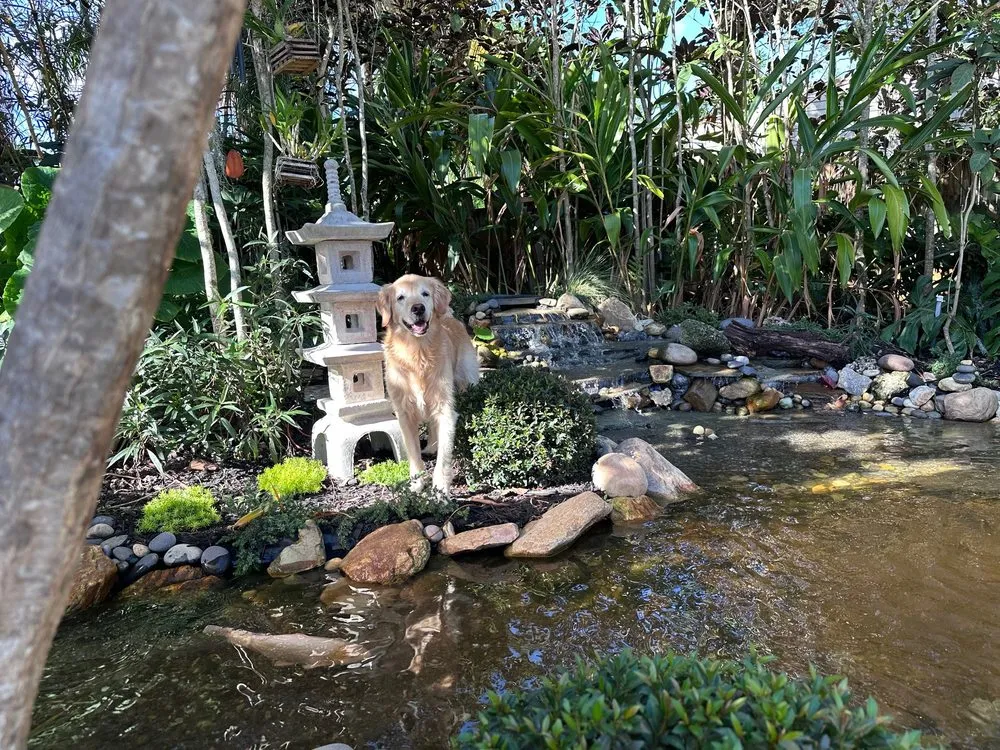 Expert lawn care service in Kendall, FL - Zen Water Gardens