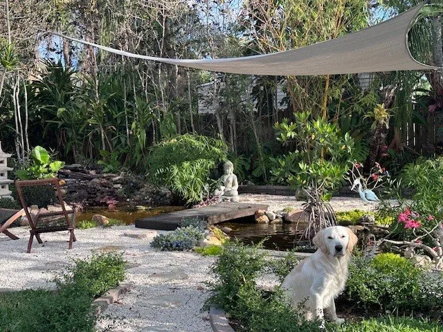 Trusted residential landscaping for homes across Kendall, FL - Zen Water Gardens