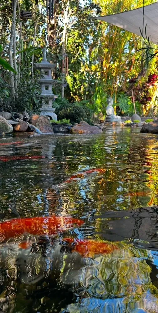 Custom landscape design in Kendall, FL by Zen Water Gardens