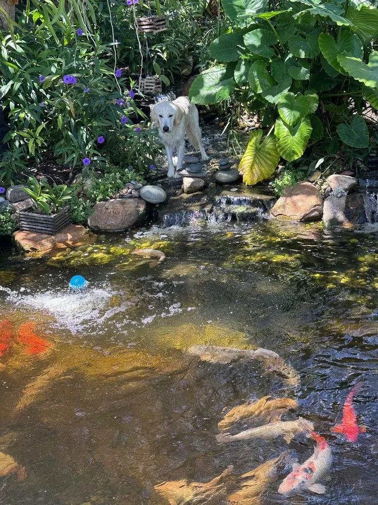 Trusted landscaping services experts serving Kendall, FL - Zen Water Gardens