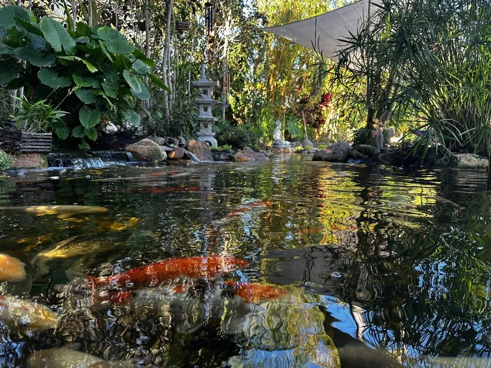 Expert lawn care service for homes in Kendall, FL by Zen Water Gardens