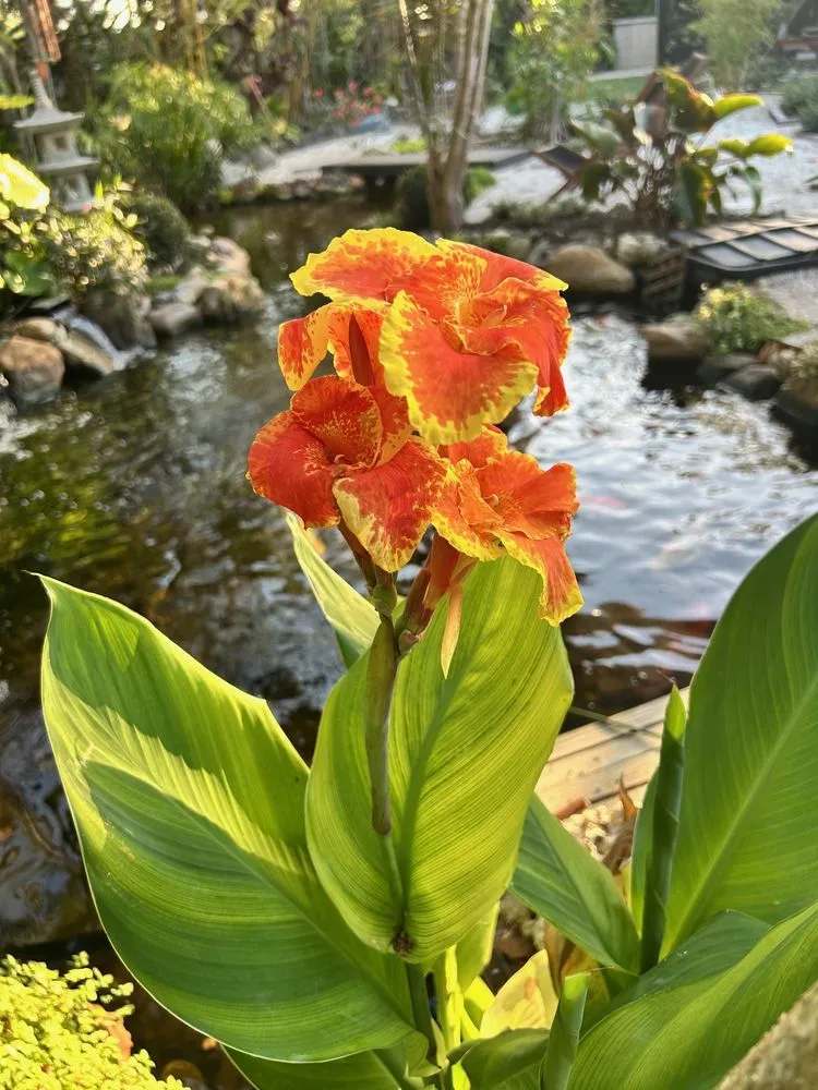 Reliable landscaping services in Kendall, FL by Zen Water Gardens