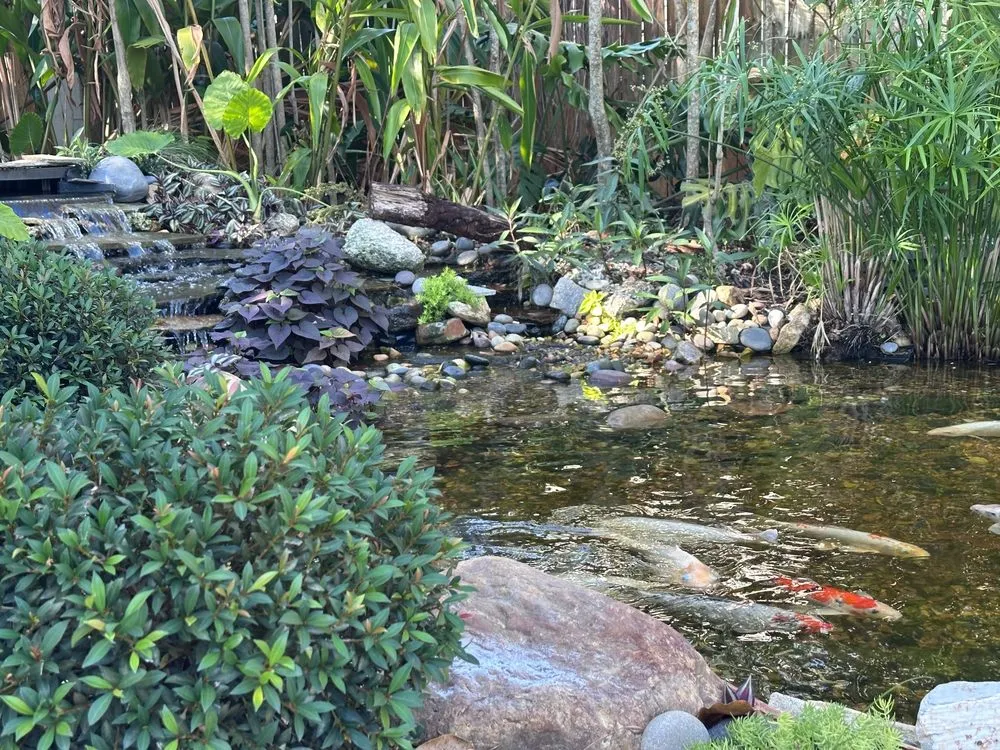 Top-rated landscape installation experts serving Kendall, FL - Zen Water Gardens